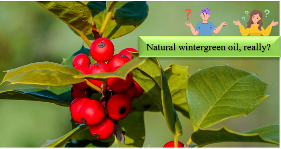 น้ำมัน Wintergreen - สามารถระบุและทดสอบส่วนผสมสังเคราะห์เพื่อความเป็นธรรมชาติได้อย่างไร?